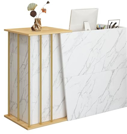 GAOXIAO Kassentheke Schmal, Moderne Empfangstheke mit Schublade und Aktenschrank Front Tresen für Büro Salon Spa und Einzelhandel Kleine Empfangstresen für Begrenzte Räume B 120 cm