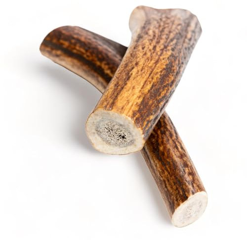 Corna per cani Dilecti - Masticatori di corna per cani naturali, resistenti e nutrienti. Ricco di proteine, minerali e vitamine! Aiuta a mantenere sani i denti e le articolazioni - L, confezione da 2