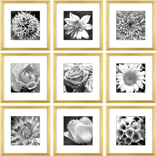 Yaetm Gold 12x12 Picture Frames Set of 9, Square Frame Displays 8x8 with Mat or 12x12 without Mat, Gallery Wall Frame Set for Wall Mounting (9 pack, Gold)