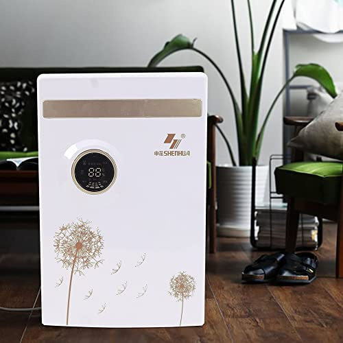 Deshumidificador eléctrico, 2,5 L, silencioso, 50 (Hz), 220 V, 100 W, manguera de drenaje, filtro extraíble