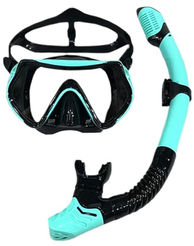 Juego de esnórquel para adultos, gafas y esnórquel para buceo, equipo de visión panorámica, tubo de respiración seca para hombres y mujeres, piscina, mar, natación, exploración subacuática