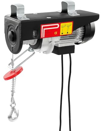 Sollevatore elettrico da 220 V, 550 W, capacità di carico 125/250 kg, corda da 18 m, velocità di sollevamento 10/5 m/min, verricello elettrico con telecomando cablato, per officina, magazzino