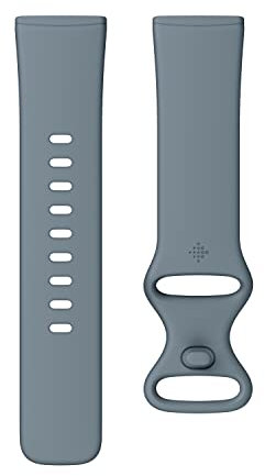 Fitbit Unisex-Adult Versa 4/Sense 2,Inf BND,Waterfall Blue,L Activity Tracker Accessory, Large