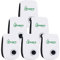 oolife Repelente Ultrasónico de Plagas, 6 Pack Repelente Ultrasónico Mosquitos para Anti Mosquitos, Cucarachas, Ratones, Moscas, Arañas, Roedores, 100% Inofensivo para Mascotas y Humanos (6 Pezzi)