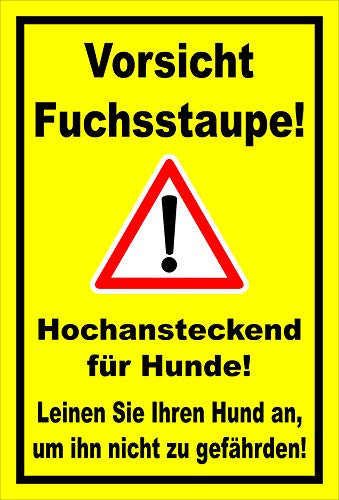 Melis-Folienwerkstatt Schild Fuchs-staupe - 60x40cm - 3mm Hartschaum – 20 VAR S00359-229-C