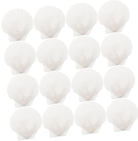 Warmhm 16stücke Große Muschelschalen Für Bastelarbeiten Natürliche Deko-Elemente Für -projekte Tischdeko Aquarium Und Hochzeitsdekoration