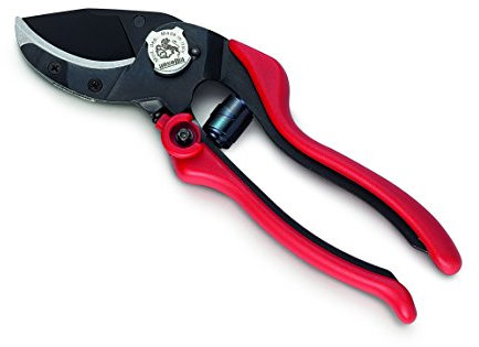 AUSONIA - 31086 SÉCATEUR PROFESSIONNEL POUR VIGNE POUR OLIVIERS EVO 6 CM 20