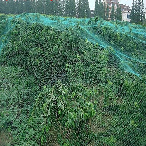 GOTOTOP 1pc/2pc/4pcs Filet de Protection Jardin Anti-Oiseaux pour Jardin, Arbres Fruitiers, Légumes et Plantes, Bassin d'eau - 4m x 10m (2pcs)