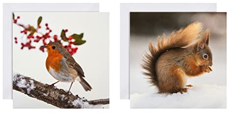 Hallmark Weihnachtskarten, 16 Stück in 2 National Geographic Designs, 25572278