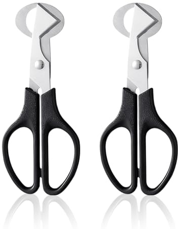 2 Pezzi Forbici Uova di Quaglia, Tagliauovo, Forbici da Taglio a Guscio d'Uovo, Tagliauova di Quaglia per Casa, Cucina, Ristorante, Tagliauova di Quaglia per Taglio a Guscio d' Casa