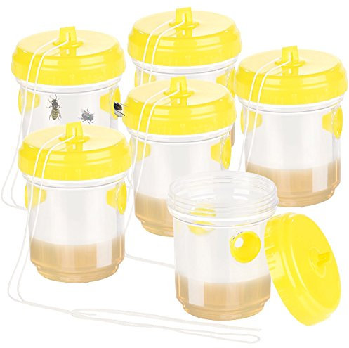 Exbuster Wespenfallen: Giftfreie Wespen- & Fliegenfalle zum Hinstellen und Aufhängen, 6er-Set (Fliegenfalle Lebend, Lebendfliegenfalle, Fruchtfliegenfalle)