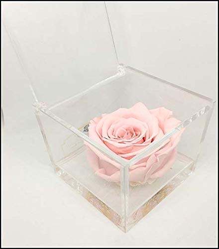 OneFlower by PREMIUM-ROSE - Cubo Rosa Stabilizzata Rosa 8 cm con Marmo di Carrara - Rosa Eterna Stabilizzata Made in Italy - Idea per Chi Ama Colori Vivaci e Giovani Donne - Rosa A 1085