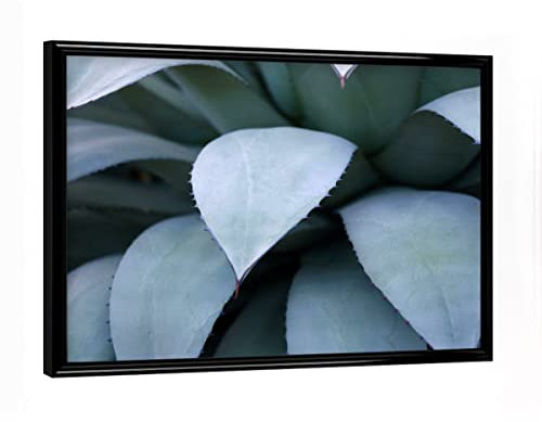 artboxONE Poster mit schwarzem Rahmen 18x13 cm Natur Agavenblätter Pastelltöne Blau - Bild Blatt Agave Blatt