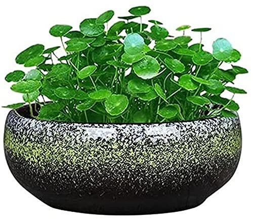 Runde, große, flache, glasierte Pflanztöpfe für den Außenbereich, Sukkulenten-Pflanzschale, Bonsai-Töpfe, dekorativer Garten-Keramik-Blumentopf, nicht porös, geeignet für Hydrokultur-Pflanzenbehälter