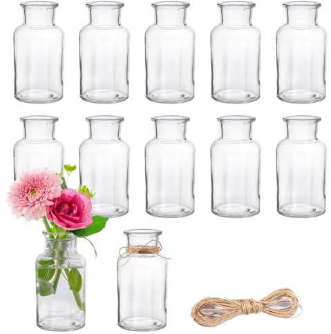 DATEFUN 12 Stück Mini Glasvasen, 250ml kleine Väschen mit Juteschnur, Blumenvasen Tischvasen Glasvasen Dekoflaschen Glasflaschen, Glasfläschchen für Tischdeko Mittelstücke, Hochzeitsdekorationen