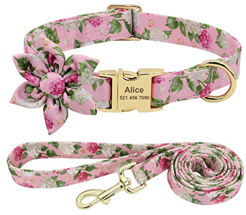 Beirui Hundehalsband und Leine, Set für Hündinnen, mit Blumenmuster und Gravur, mit goldfarbener Schnalle, personalisierbar (rosa Muster, M)