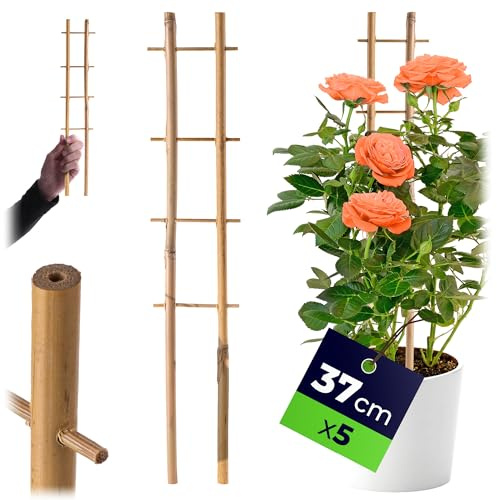 KADAX Rankgitter aus Bambus, 37 x 7 cm, 5er Set, Rankhilfe für Pflanzen, Pflanzengitter, Kletterhilfe & Pflanzstütze für Zimmerpflanzen & Kletterpflanzen