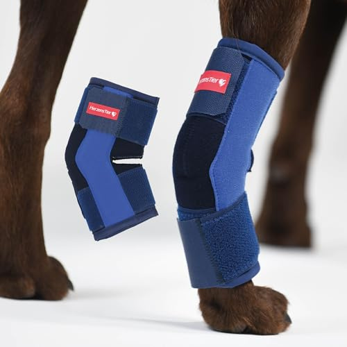 HERZENSTIER Sprunggelenkbandage aus Schaumstoff Gr. XXL für Hunde & Katzen, atmungsaktiv mit Schienen zur Sprunggelenks-Unterstützung mit bei Arthrose & Instabilität