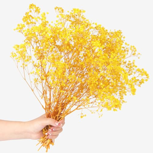 Lot de 70g Gypsophile Séché Fleurs Séchées Naturelles Naturel Gypsophila Fleurs Séchées pour Décoration de Mariage Décoration de Cheveux Décoration de Maison Bricolage（Yellow）