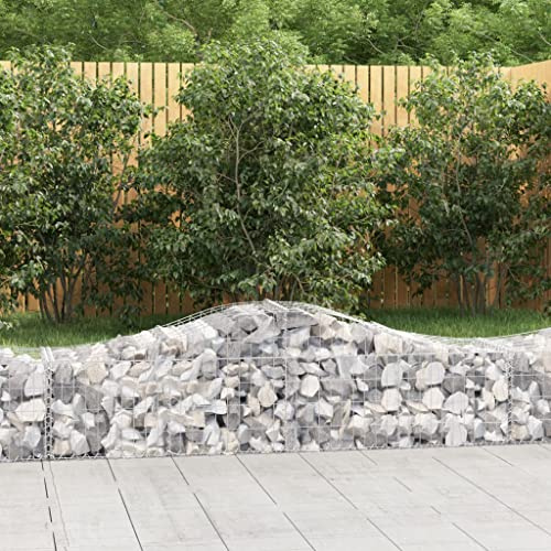 AJJHUUKI Lawn & Garden-Gardening-Pots & Planters-Arched Gabion Baskets 20 pcs 200x50x40/60 cm Galvanised Iron