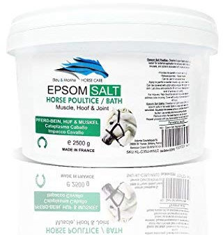 bleu & marine Bretania - Epsom Salz 2.5 Kg Bittersalz | Für Pferde und Menschen Nutzbar | Magnesium-Sulfat für Muskelfunktion und Nervenstabilität | Ideal für Salzbäder und als Abführmittel