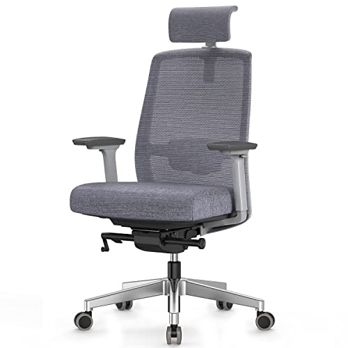 Duwinson Ergonomic Home Office Chair With 4-Way Adjustment Armrest, Mesh Computer Desk Chair, Reclining Adjustment Back Support, Adjustable Headrest, Padded Lumbar Support (Grey-UE)