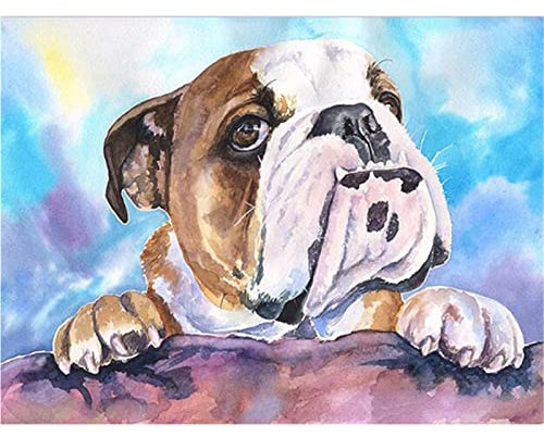 DIY 5D Diamant Malerei Vollbohrer Kit, square drill Englische Bulldogge 30x40cm Diamond Painting Bilder Set Diamant Malen nach Zahlen Kreuzstich Stickerei Strass Mosaik Gemälde für Home Wand Dekor