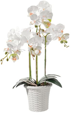 dallisten 22'' Realistic Artificial Orchid Flowers in Pots, Fake Orchid White Silk Phalaenopsis Plants for Home Decor, Wedding Centerpiece, Office & Bedroom Decoration