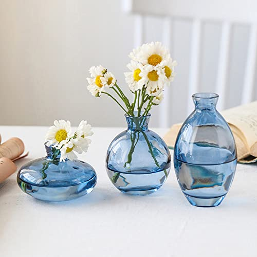 Hniuyun 3Pcs/Set Glass Vase, Small Mini Flowers Bud Vases, Transparent Hydroponic Vase Minimalist Aesthetic Home Decor (Blue)