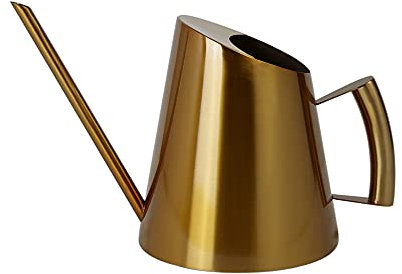 Gießkanne Zimmerpflanzen, Edelstahl Gold Gießkanne, 0,9L Moderner Blumengießkanne Gartengeräte mit Langer Auslauf, und Komfort Griff für Familie Büro