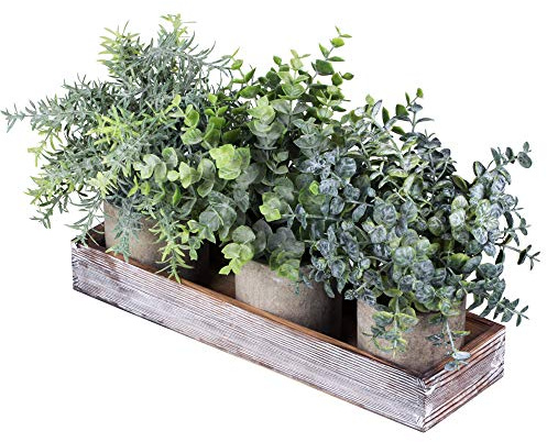 Winlyn Set of 3 Mini Potted Artificial Eucalyptus Plants Faux Rosemary Plant Assortment with Wood Planter Box for Indoor Office Desk Apartment Wedding Tabletop Greenery Decorations 8.7 Tall