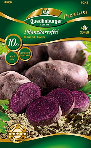 Quedlinburger 84000 Kartoffel Blaue St. Galler (10 St?ck) (mittelfr?h, vorwiegend festkochend) (Pflanzkartoffeln)