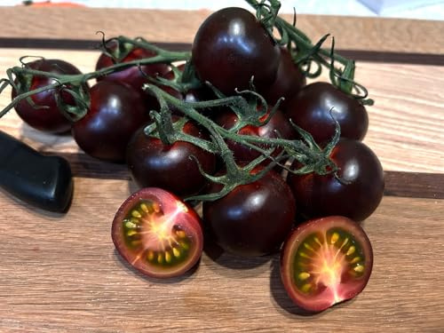 Tomate Blackball - Tiefdunkle Delikatesse mit intensivem Geschmack - 20 Samen