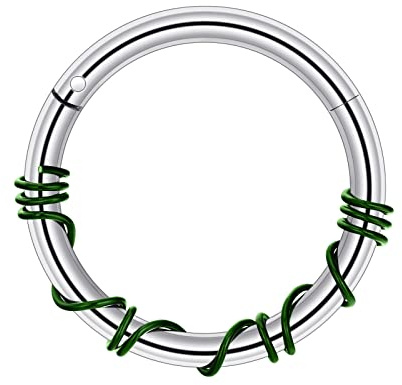 Longbeauty 16G 1.2mm Edelstahl Piercing Ringe Segmentring Clicker Nasenringe Ohrringe Nahtlose Hoops für Tragus Knorpel Septum Helix