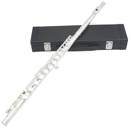 Flöte Für Anfänger Silberne 16-Loch-C-Ton-Flöte Mit Geschlossener Klappe E-Taste Holzblasinstrument Vernickelte Silber-Cupronickel-Röhrenflöte