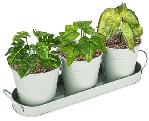 CTDMJ Metall-Pflanztöpfe mit Abtropfschale, Kräutertöpfe für Küche, Fensterbank, Kräuterpflanzgefäß für drinnen und draußen, Kräutergarten, Kräutertopf, Pflanzgefäß-Set, Fenstertöpfe für Pflanzen und