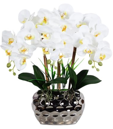 QUXVUIS Grande bonsai di orchidea artificiale con vaso realistico Phalaenopsis Real Composizioni di piante finte Ornamenti per soggiorno, Bianco giallo chiaro