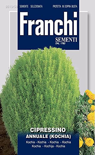 semi Cipresso Annuale Kochia Franchi Sementi 3g