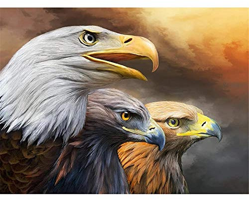 Yingxin34 Puzzle 5000 Teile DREI Adler, Farbenfrohes Puzzle für Erwachsene und Kinder ab 14 Jahren Klassische Puzzles Geschicklichkeitsspiel für die ganze Familie-61.61x41.53 Zoll (156.5 x 105.5cm)