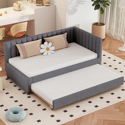 Dolamaní Sofabett klein 90x200 cm Grau, Ausziehbettfür Kinderzimmer Kinder Gäste Erwachsene, Tagesbett tagesbett ausziehbar mit Gästebett, Bett für Jugendliche mädchen Jungs