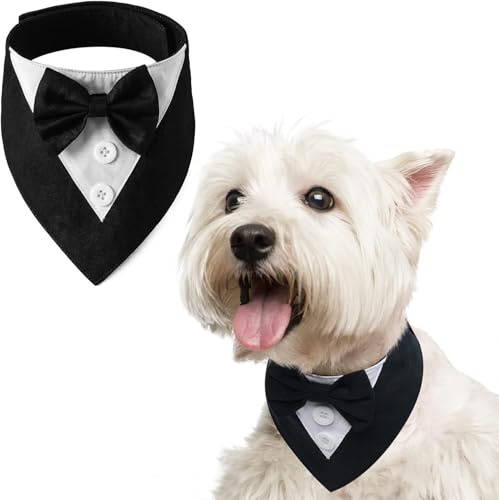BT Bear Smokinghalsband für Haustiere, Hochzeits-Outfit, Fliege für Katzen, Welpen, kleine Hunde, Outfit, Party, Geburtstag, Weihnachten, Schwarz, Größe S