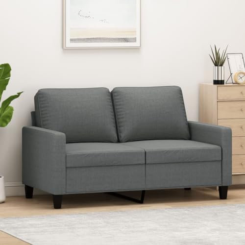 Gecheer 2 Sitzer Sofa Couch Loungesofa Polstersofa 2 Sitzer Sessel Stoffsofa Gästesofa Wohnzimmersofa Clubsofa Sitzmöbel für Wohnzimmer Schlafzimmer Büro Dunkelgrau 120 cm Stoff