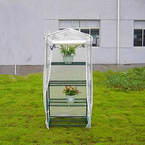 TRGCJGH Mini Piccola Serra per Piante, Serra da Giardino Portatile, Coltivare Piante Piantine Erbe O Fiori