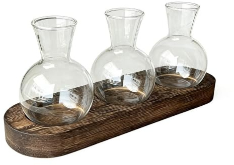 Växtförädlingsburkar trä – glasträ 3 -set 24 cm bas
