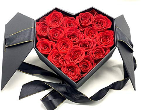 17 Rosas Rojas preservadas en Caja de Regalo con Lazo Día de la Madre - Rosas eternas Regalo San Valentín - Flores preservadas y eternas (Caja corazón)