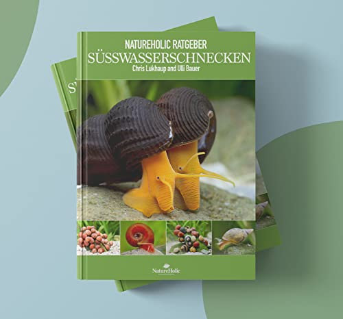 Natureholic Ratgeber - Süßwasserschnecken - E-Book: Alles Wissenswerte zu Süßwasserschnecken - Für Anfänger & fortgeschrittene - hilfreiche Tipps & Tricks - Haltung, Pflege und Fütterung