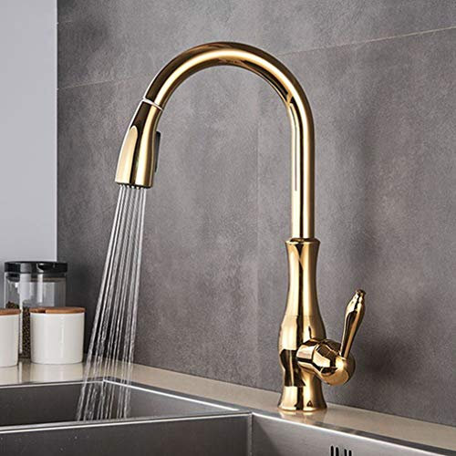 ILmira Golden/Chrome/Brushed Nickel Pull Out Spray Head Kitchen Faucet Pull Down Spray Kitchen Mixer Tap Single Handle Mixer Tap Swivel 360 Degree 360 Swivel,Golden Auspicious clouds