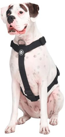 Spark Paws No Pull Hundegeschirr Grosse Hunde, Halterdesign mit Frontclip, Y Geschirr Hund, Robust und Strapazierfähig Harness für Große und Starke Rassen - Black, M