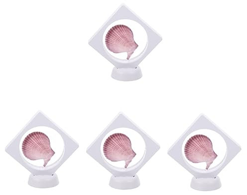 STOBAZA 4stücke Natürliche Muschel Deko Für Tisch Und Desktop Einzigartige Conch Dekoration Für Wohnambiente Für Schlafzimmer Und Kreative Bastelprojekte