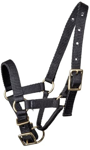 WALDHAUSEN Alpaka Halfter, L, schwarz